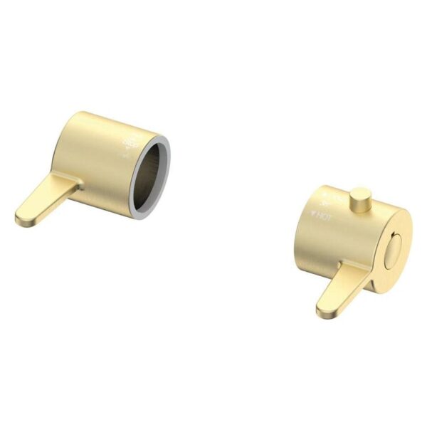 Lever Handles for Spey Shower