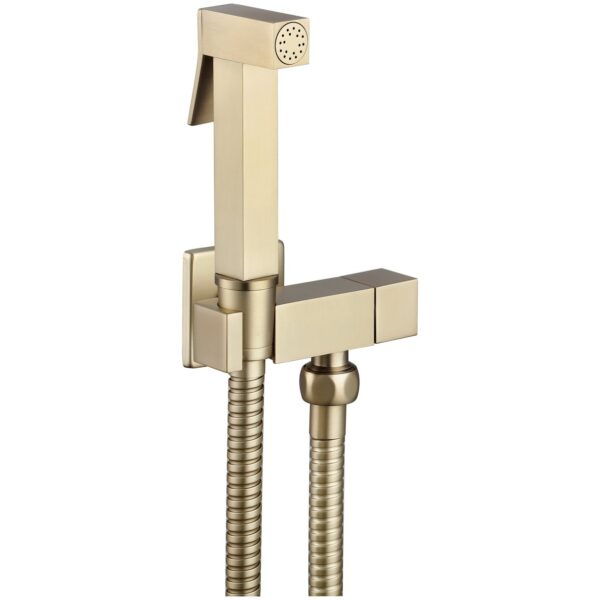 Beauly Douche & Isolating Valve Sqaure