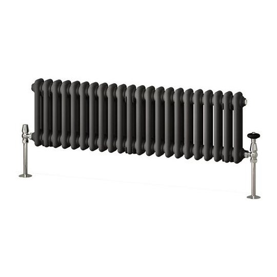 Imperia 2 Column Radiator 300 x 1010mm