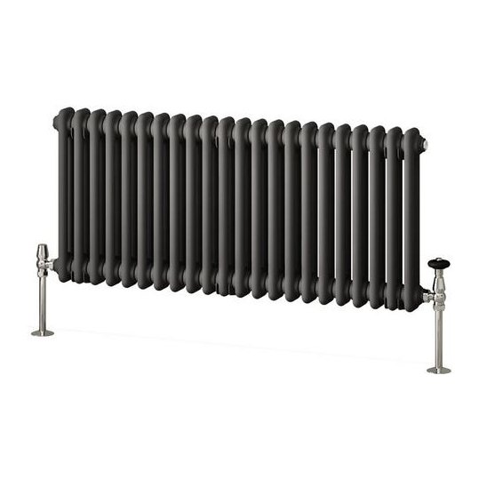 Imperia 2 Column Radiator 450 x 1010mm