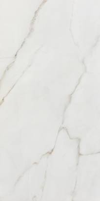 Calacata Gold White Shiny (30 x 60cm)