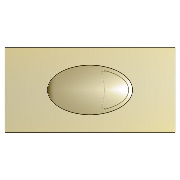 Large Dual Flush Plate & Access Panel
