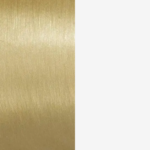 Brushed Brass/Gloss White