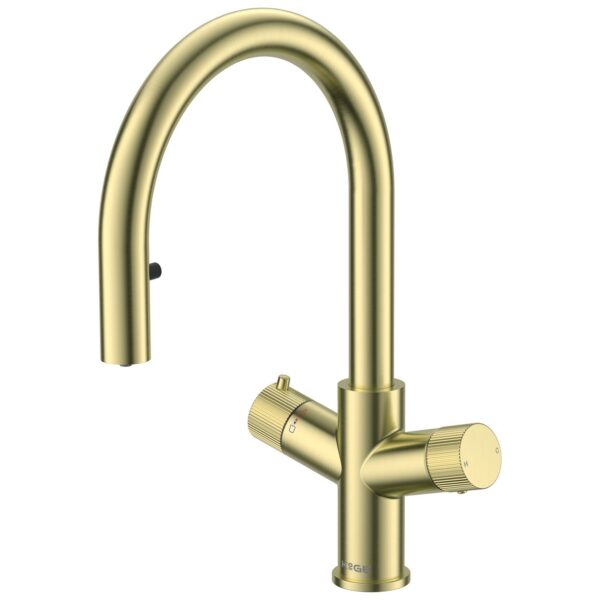 4-in-1 Boiling Water Tap Pull Out Swan Spout