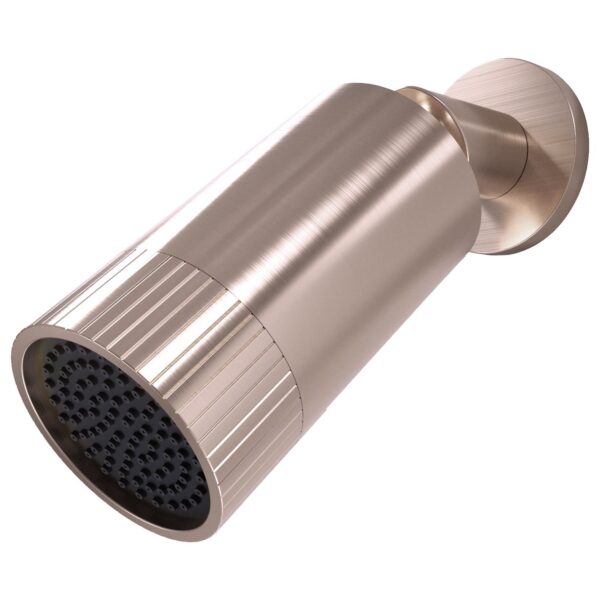 Core Spotlight Shower Head